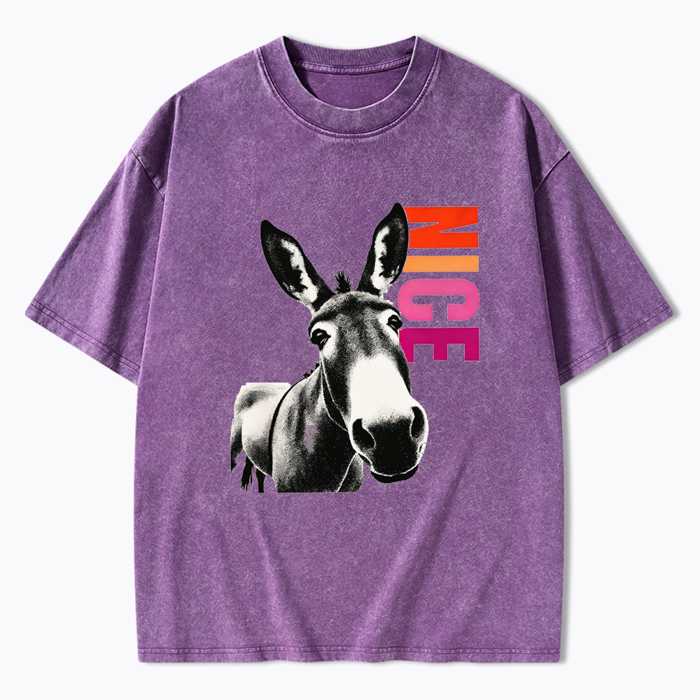 Humorous Donkey Nice Ass Washed T-Shirt