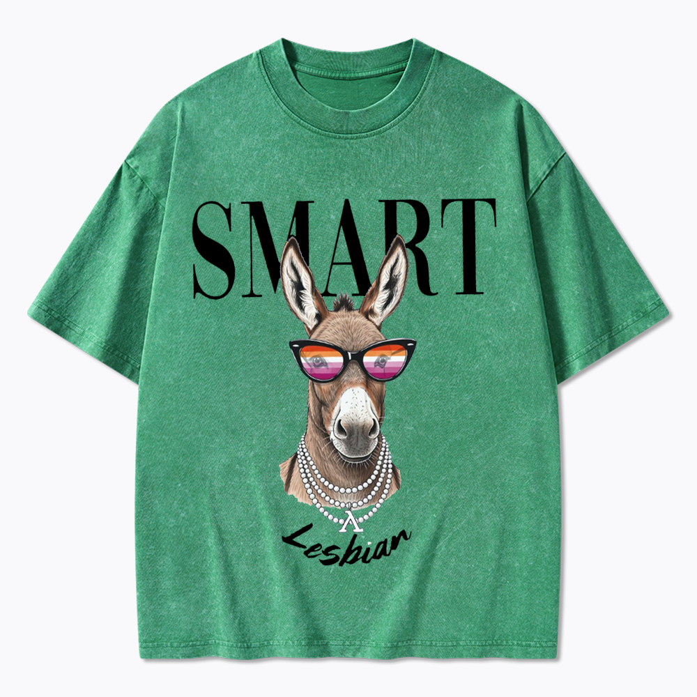 Smart Ass Lesbian Donkey Washed T-Shirt