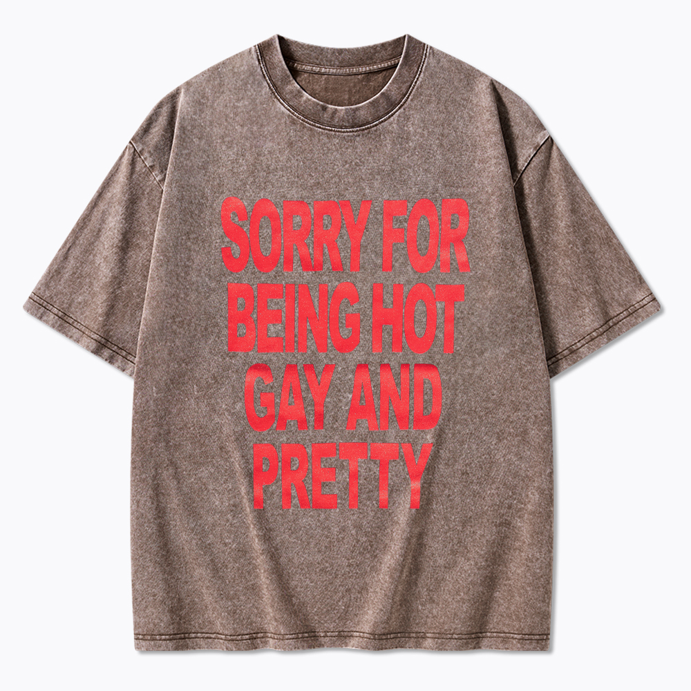 Sorry For Being Hot Gay And Pretty Washed T-Shirt