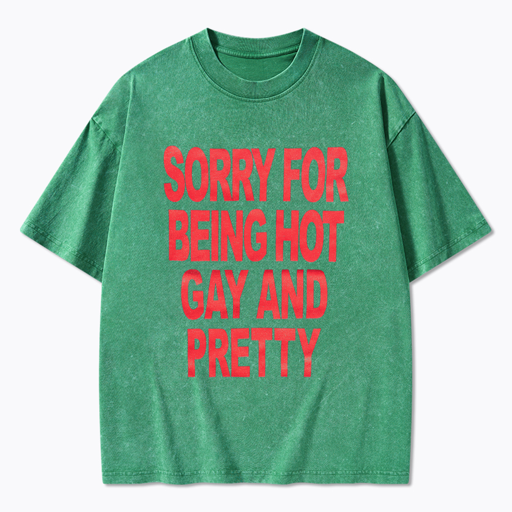 Sorry For Being Hot Gay And Pretty Washed T-Shirt