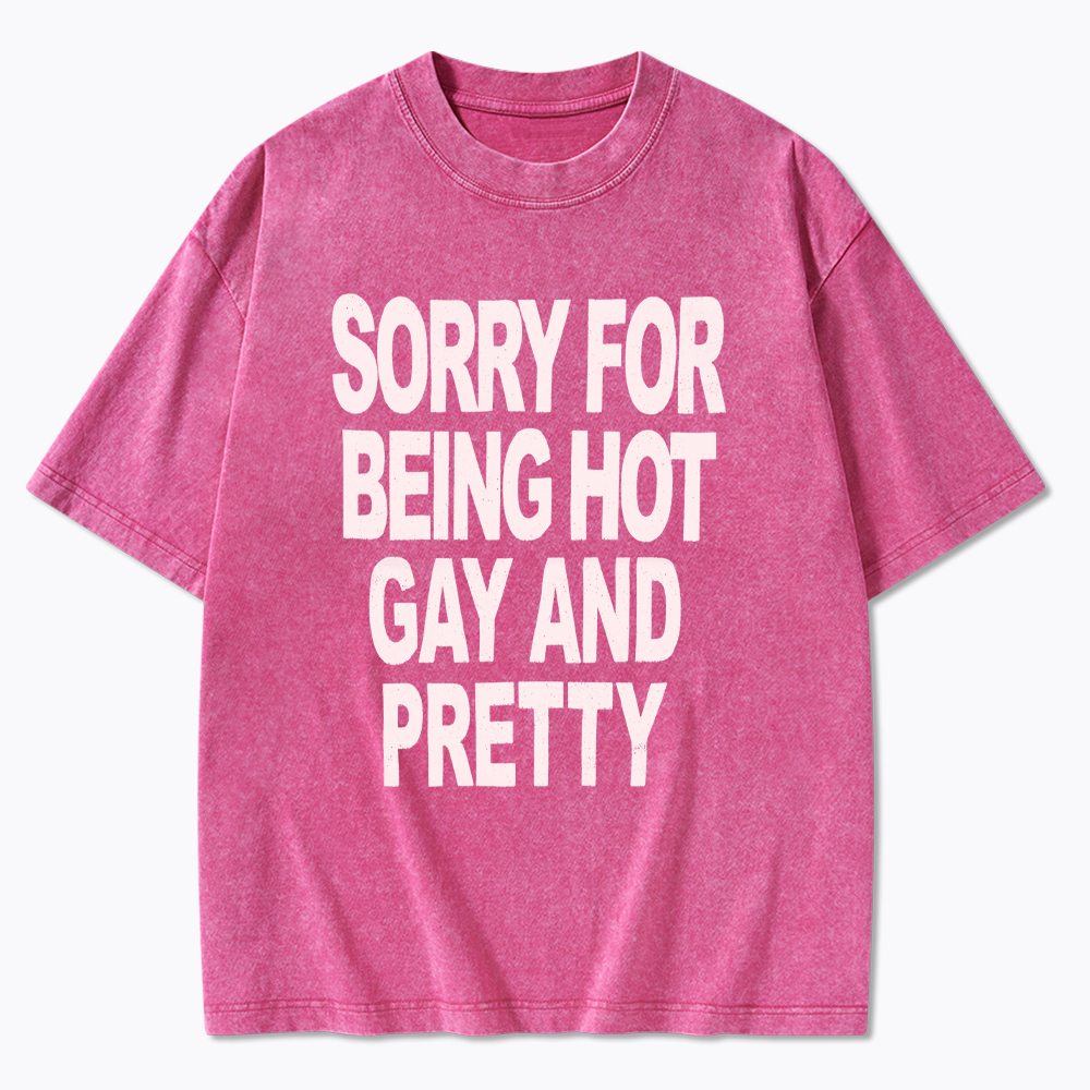 Sorry For Being Hot Gay And Pretty Washed T-Shirt