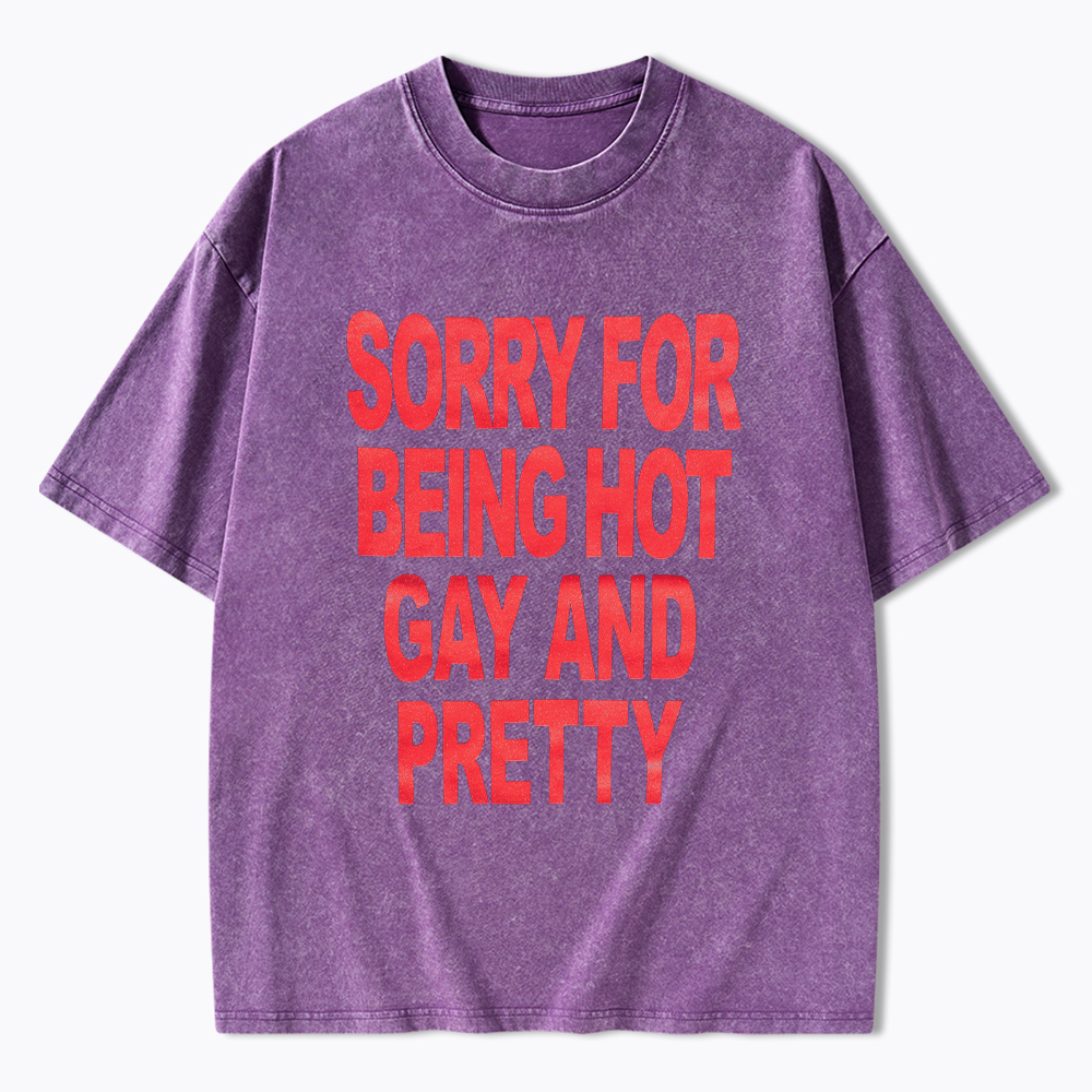 Sorry For Being Hot Gay And Pretty Washed T-Shirt