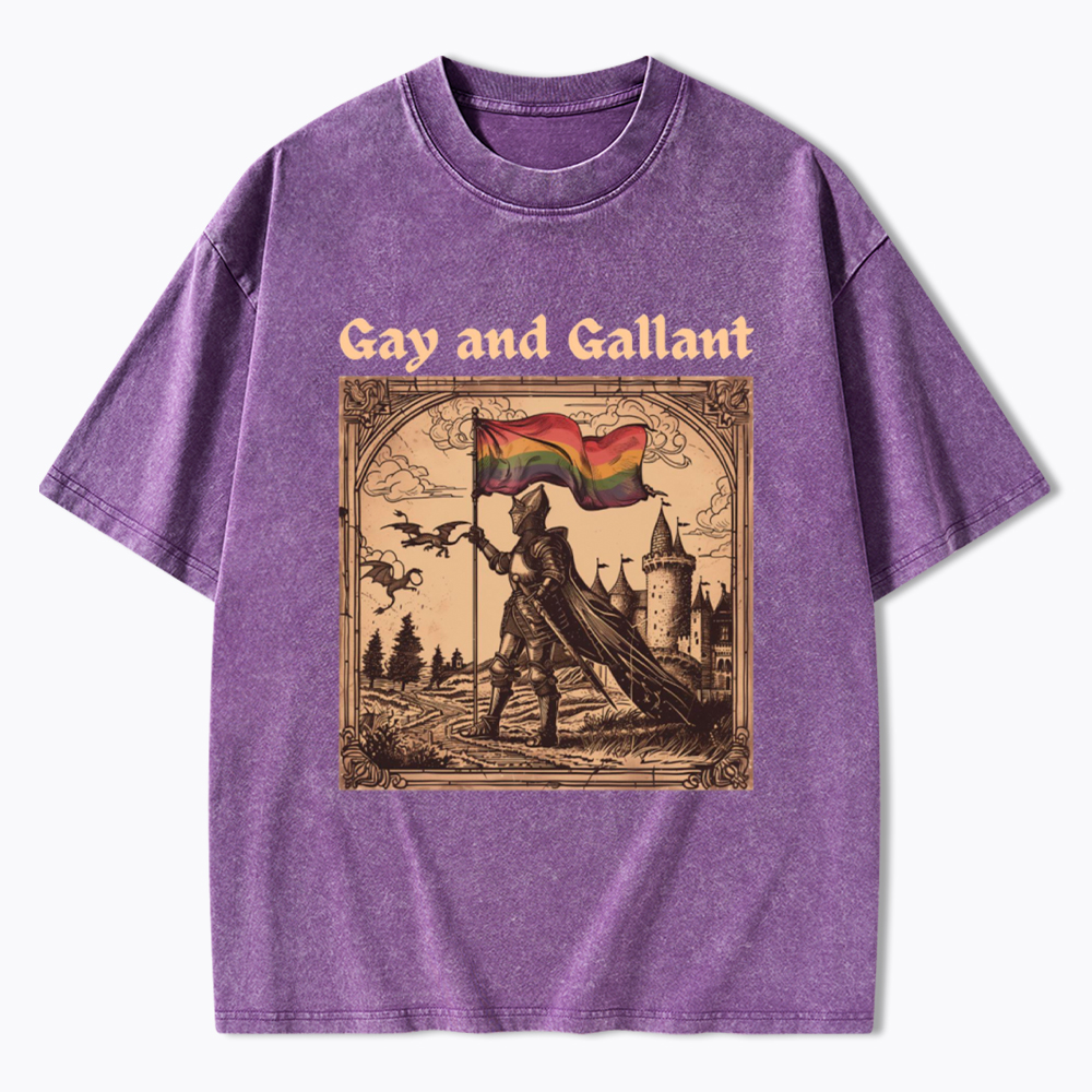 Gay and Gallant Washed T-Shirt