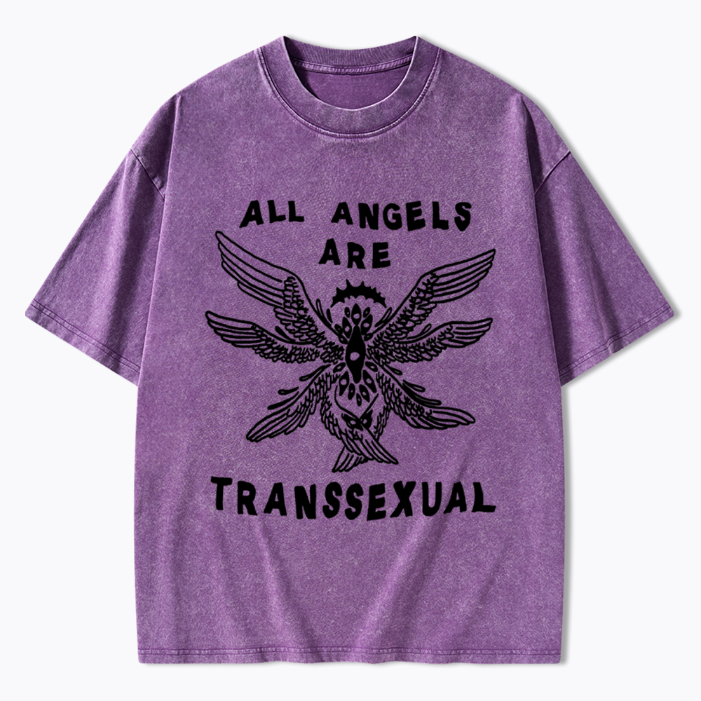 All Angels Are Transsexual Washed T-Shirt