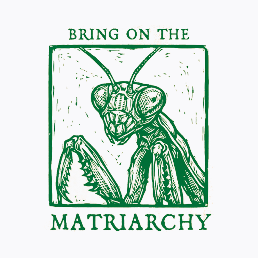 Feminist Praying Mantis Matriarchy Washed T-Shirt