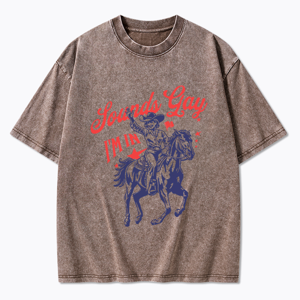 Sounds Gay I'm In Washed T-Shirt