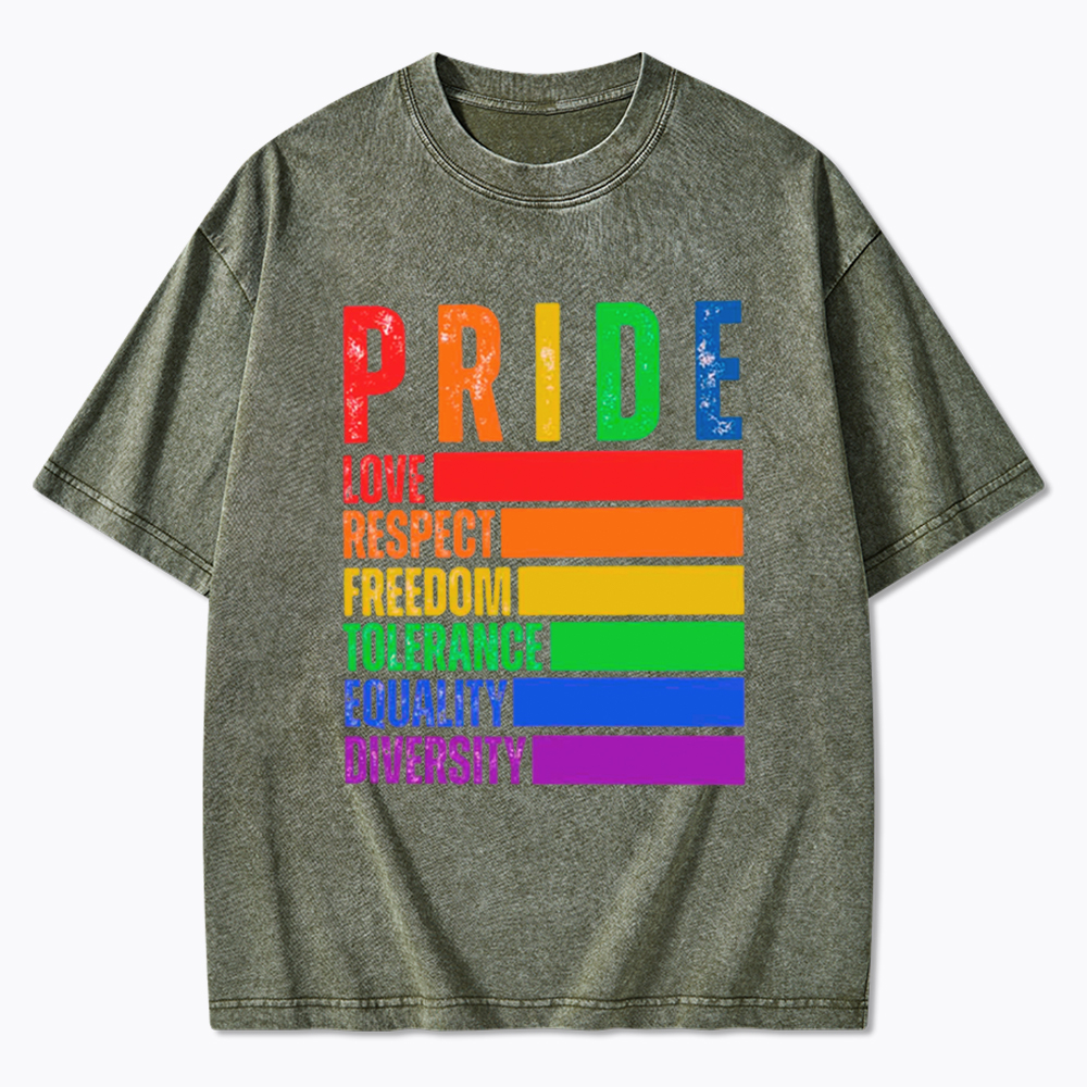Pride Love Respect Freedom Washed T-Shirt