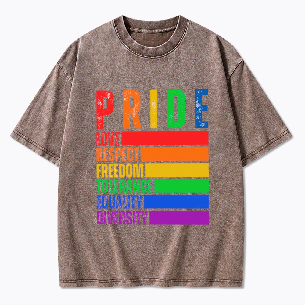 Pride Love Respect Freedom Washed T-Shirt