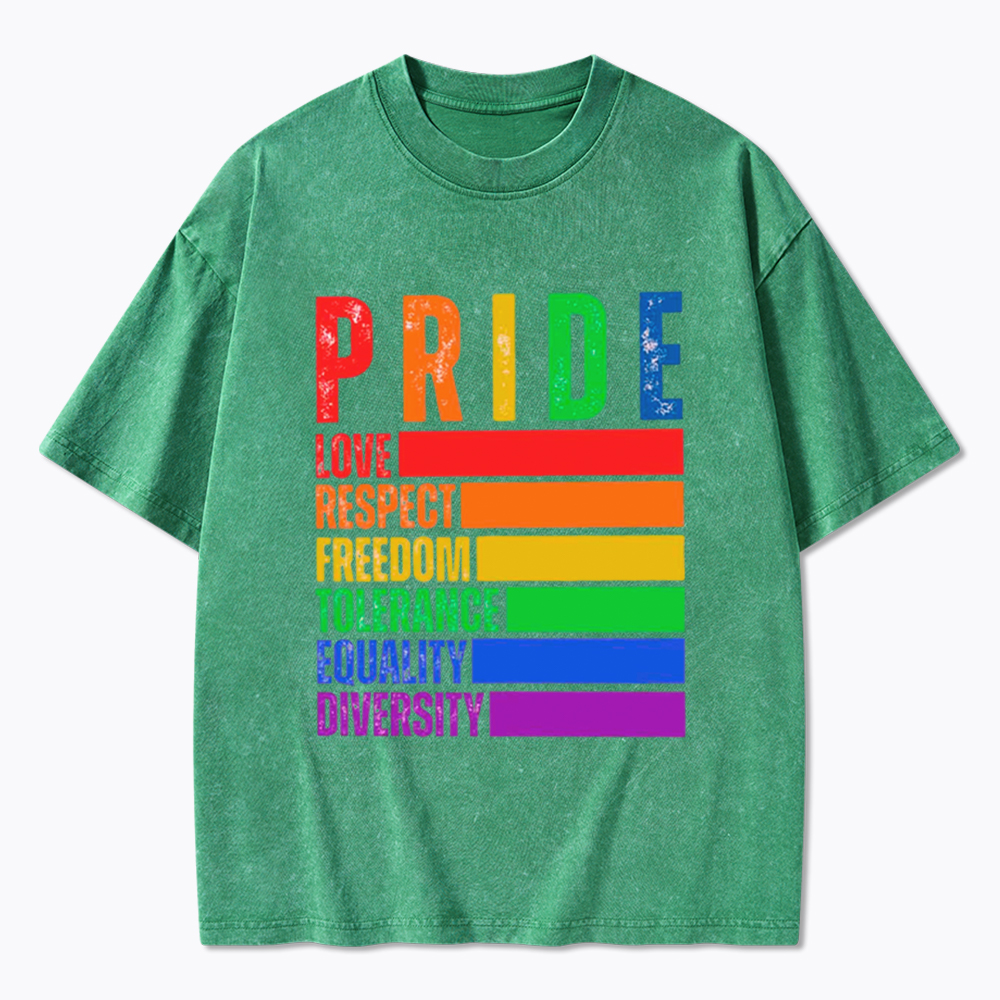 Pride Love Respect Freedom Washed T-Shirt
