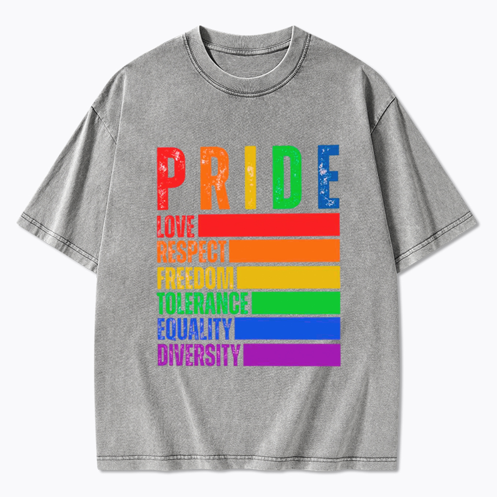 Pride Love Respect Freedom Washed T-Shirt