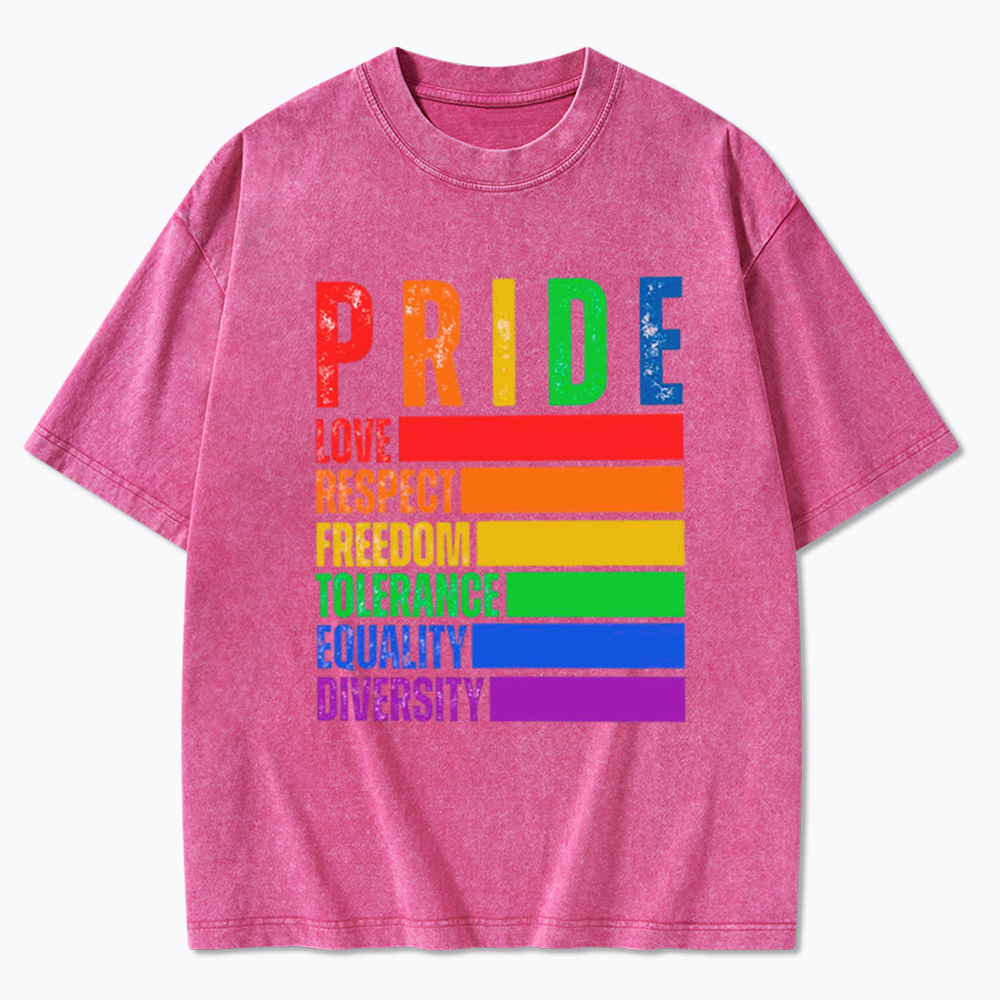 Pride Love Respect Freedom Washed T-Shirt