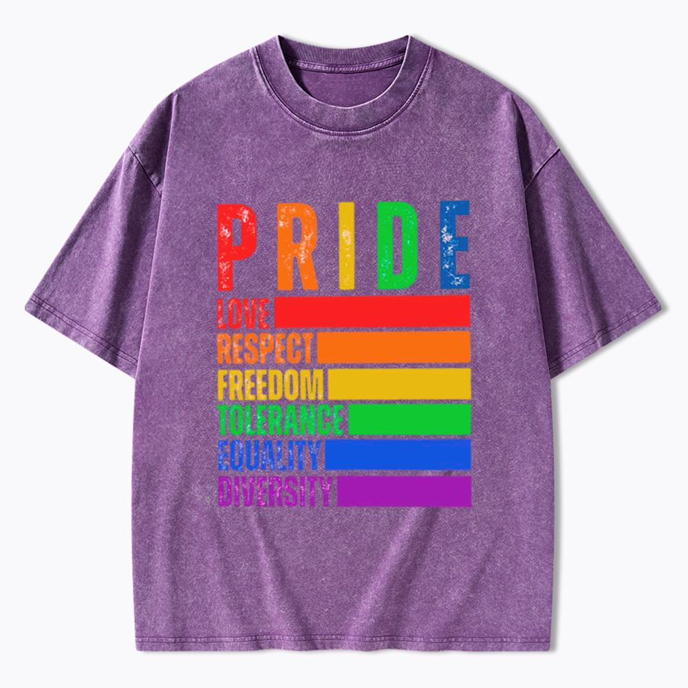 Pride Love Respect Freedom Washed T-Shirt