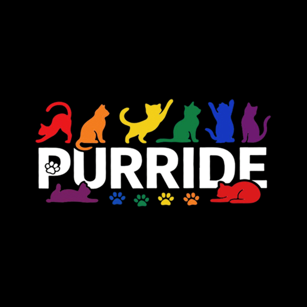 Purride Rainbow Cats Washed T-Shirt