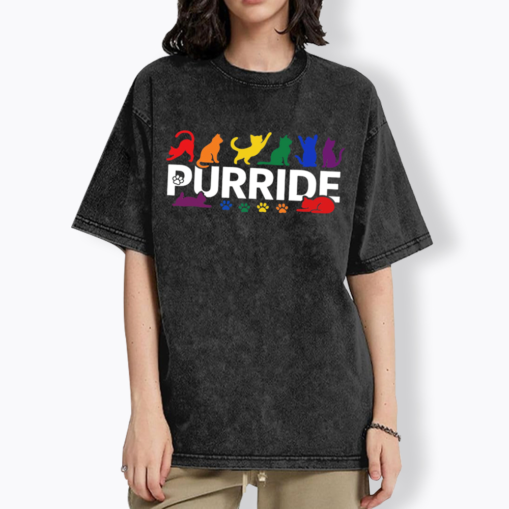 Purride Rainbow Cats Washed T-Shirt