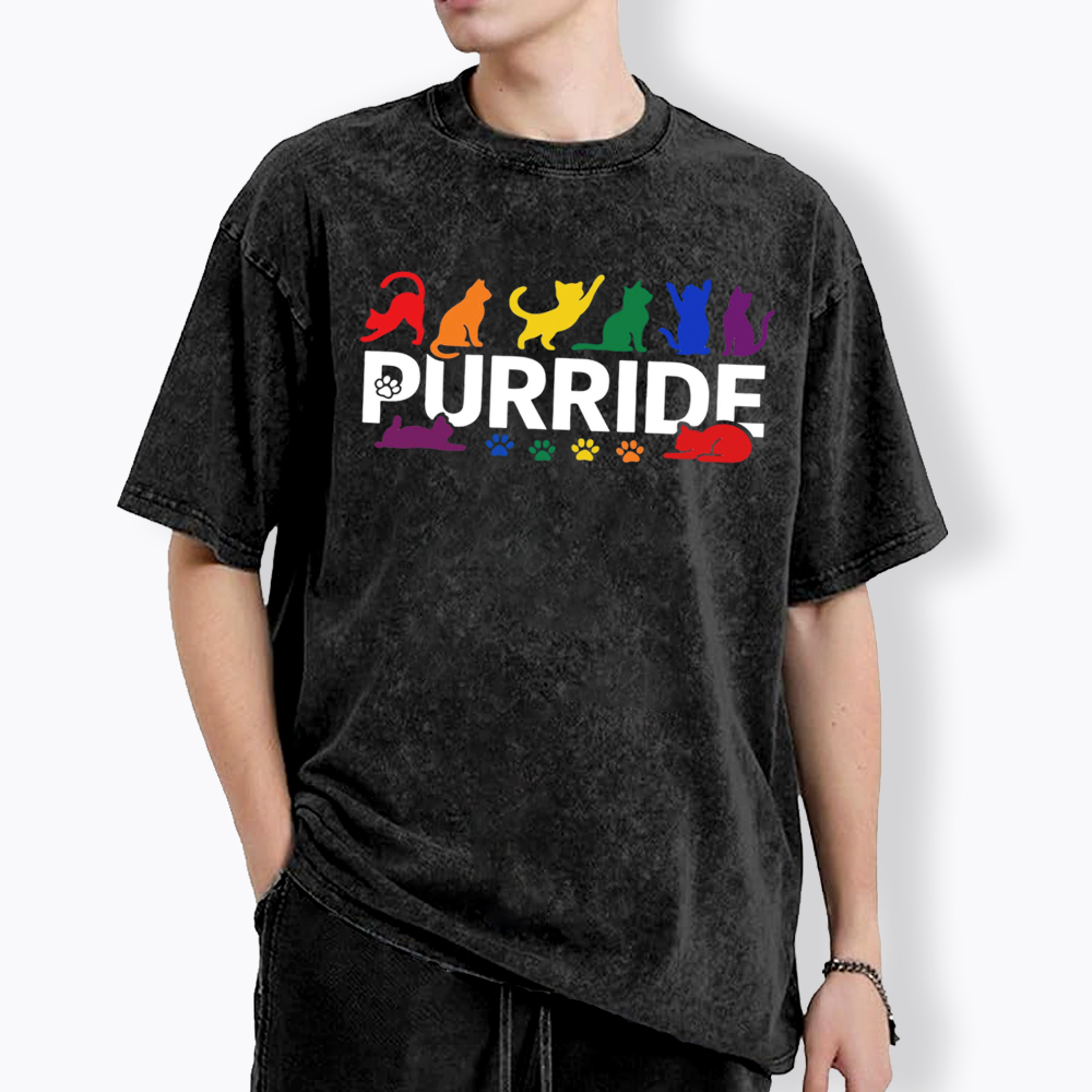 Purride Rainbow Cats Washed T-Shirt