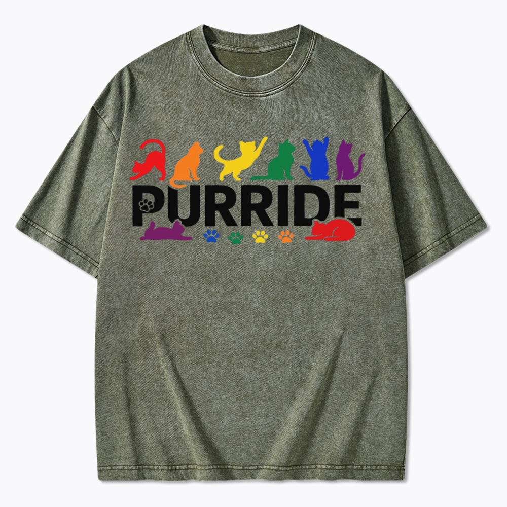 Purride Rainbow Cats Washed T-Shirt