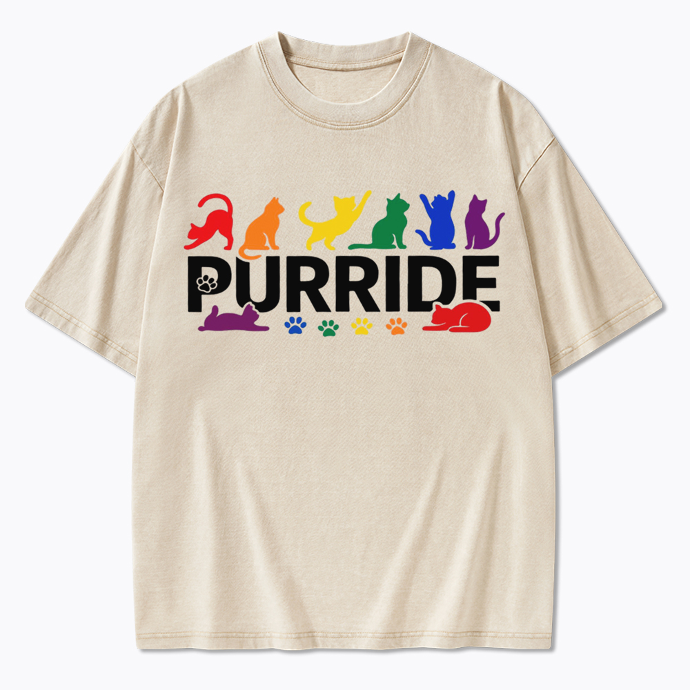Purride Rainbow Cats Washed T-Shirt