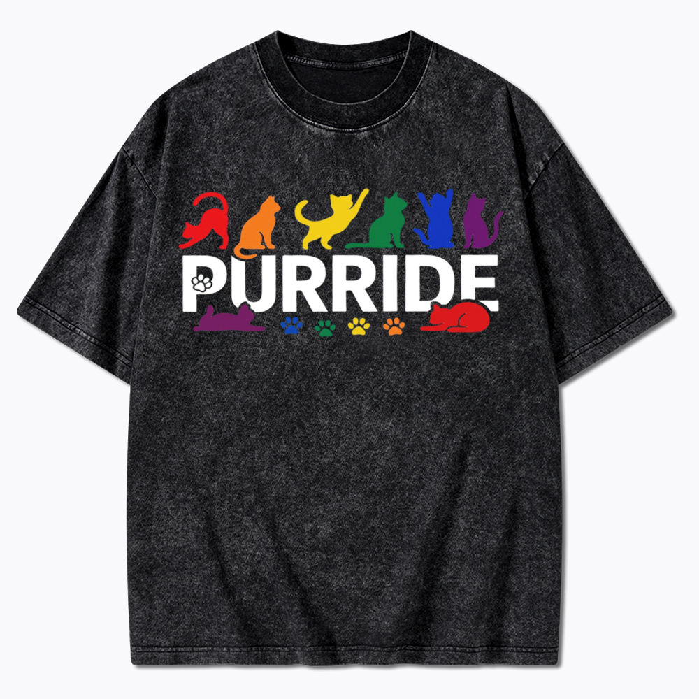 Purride Rainbow Cats Washed T-Shirt