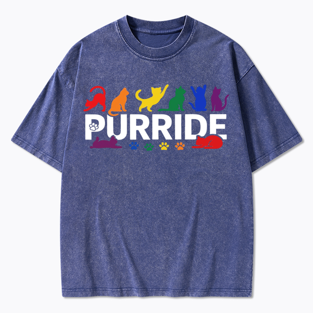Purride Rainbow Cats Washed T-Shirt