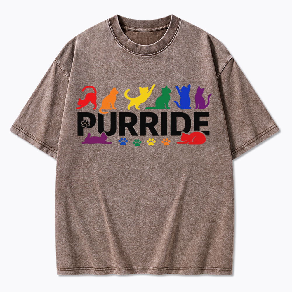 Purride Rainbow Cats Washed T-Shirt
