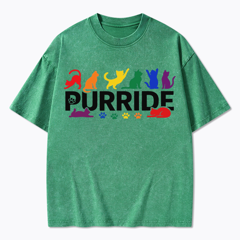 Purride Rainbow Cats Washed T-Shirt