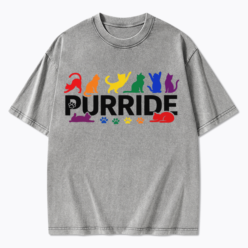 Purride Rainbow Cats Washed T-Shirt