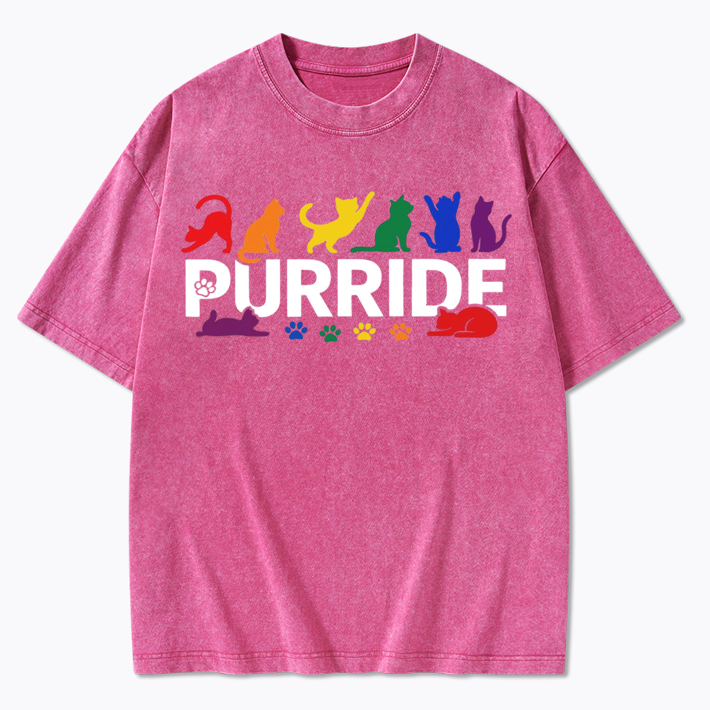 Purride Rainbow Cats Washed T-Shirt