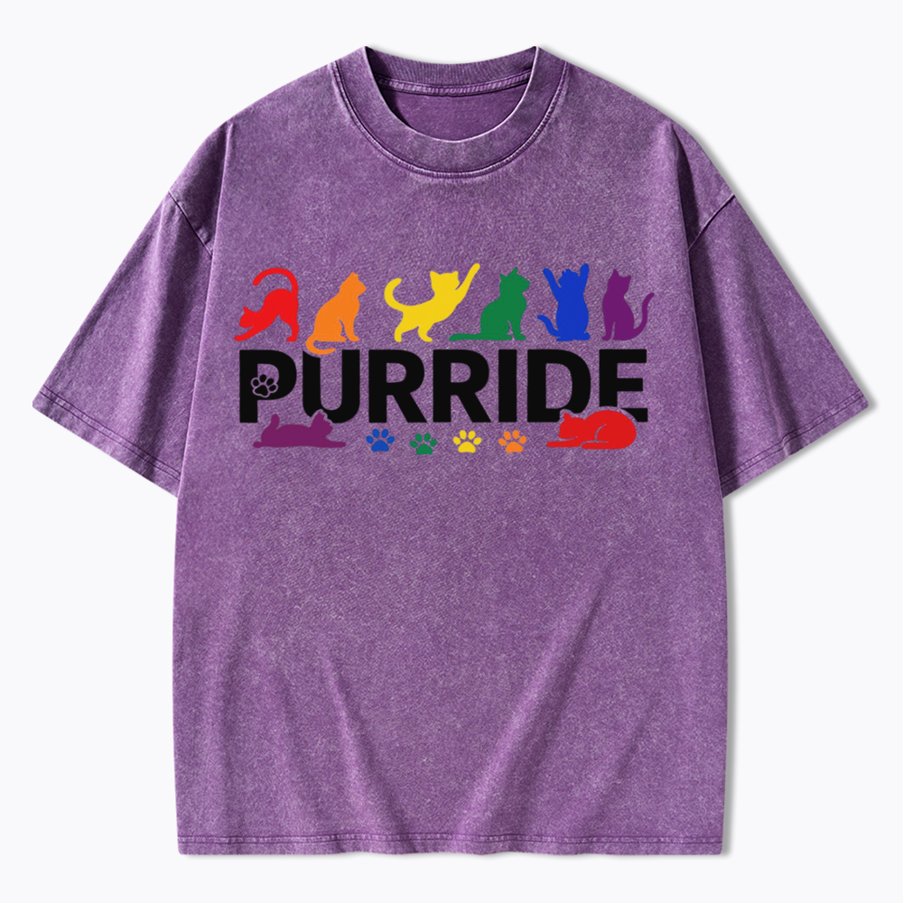 Purride Rainbow Cats Washed T-Shirt