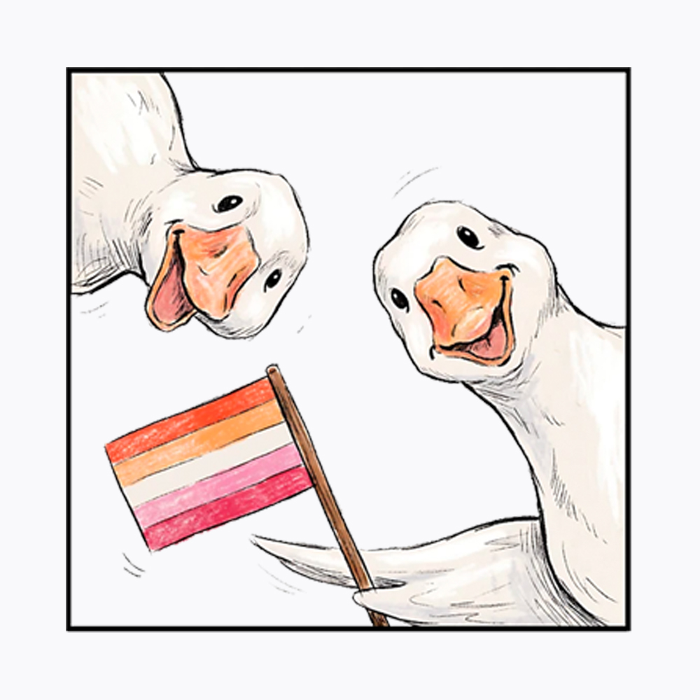 Silly Goose Couple Washed T-Shirt