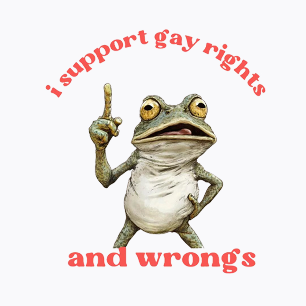 I support Gay Rights and Wrongs Washed T-Shirt
