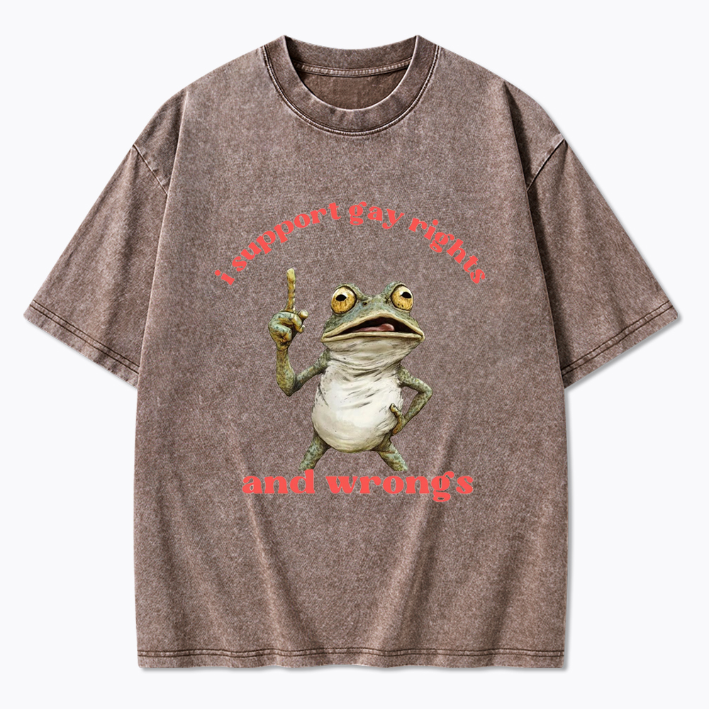 I support Gay Rights and Wrongs Washed T-Shirt