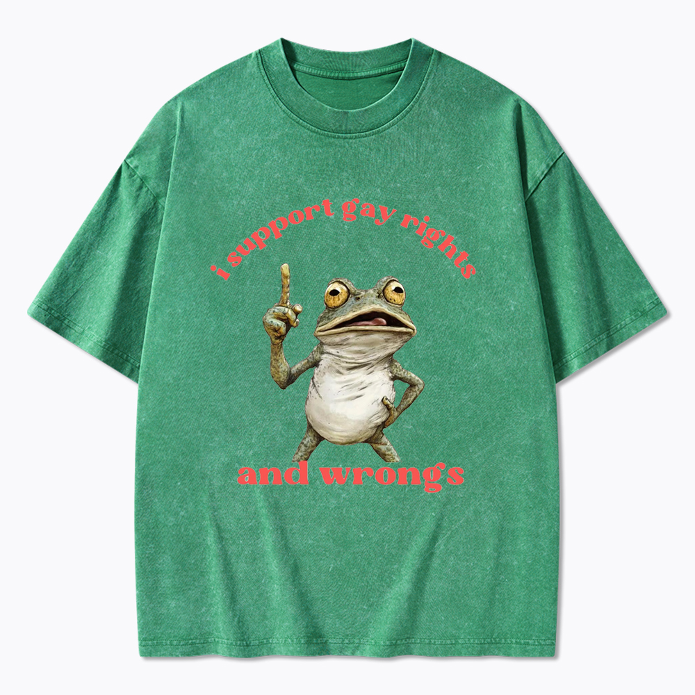 I support Gay Rights and Wrongs Washed T-Shirt