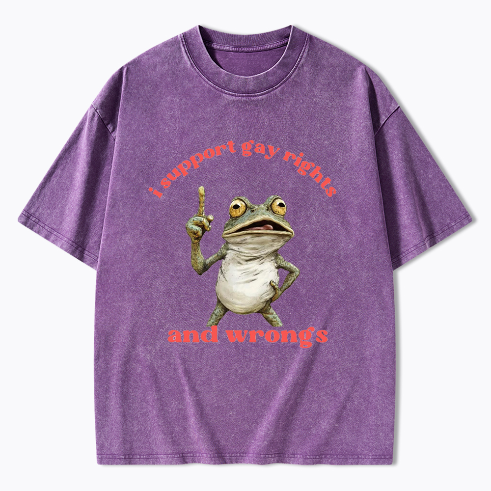 I support Gay Rights and Wrongs Washed T-Shirt