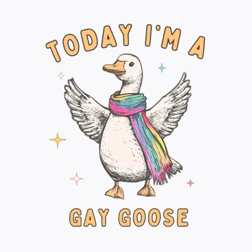 Gay Pride Silly Goose Washed T-Shirt