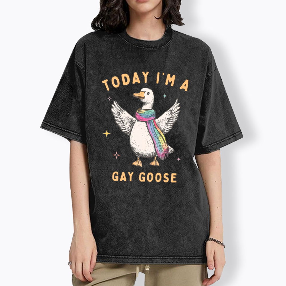 Gay Pride Silly Goose Washed T-Shirt