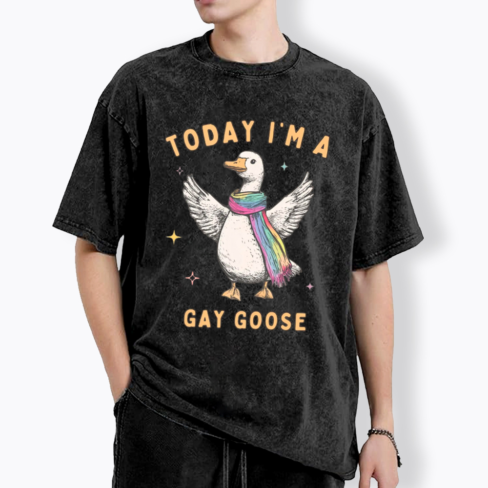 Gay Pride Silly Goose Washed T-Shirt