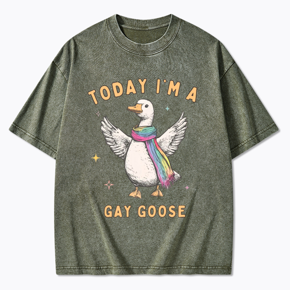 Gay Pride Silly Goose Washed T-Shirt