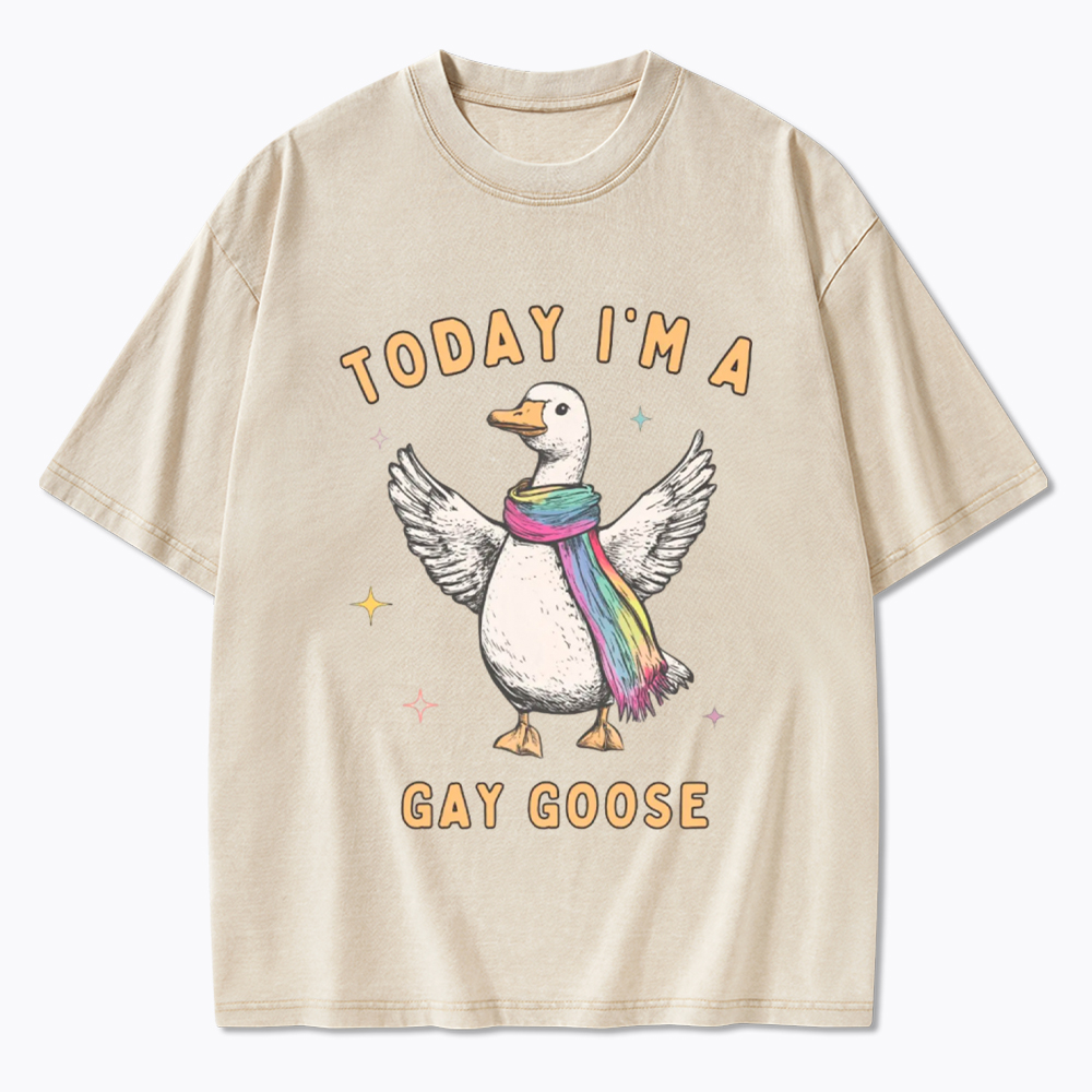 Gay Pride Silly Goose Washed T-Shirt