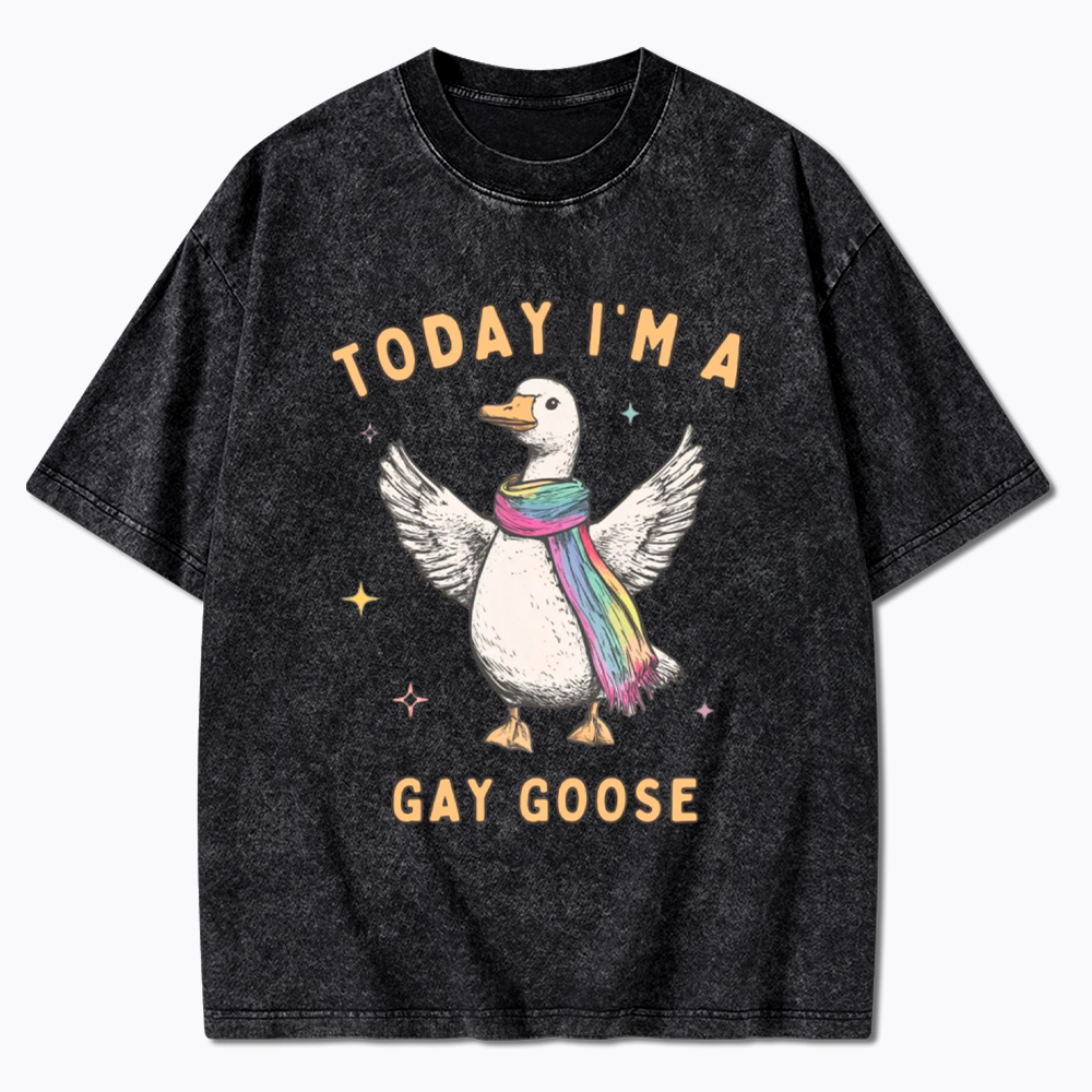 Gay Pride Silly Goose Washed T-Shirt