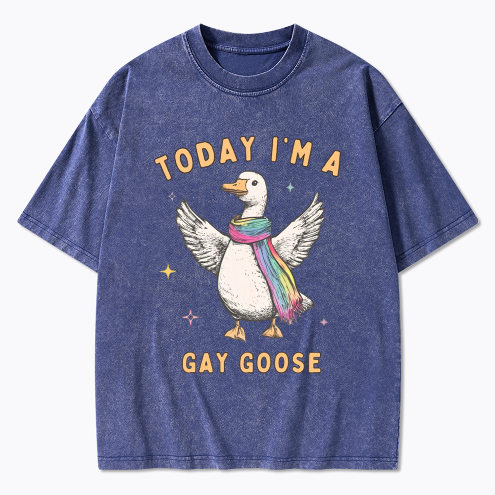 Gay Pride Silly Goose Washed T-Shirt