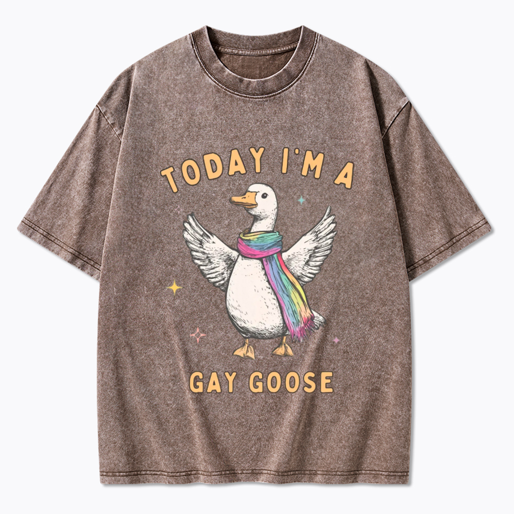 Gay Pride Silly Goose Washed T-Shirt