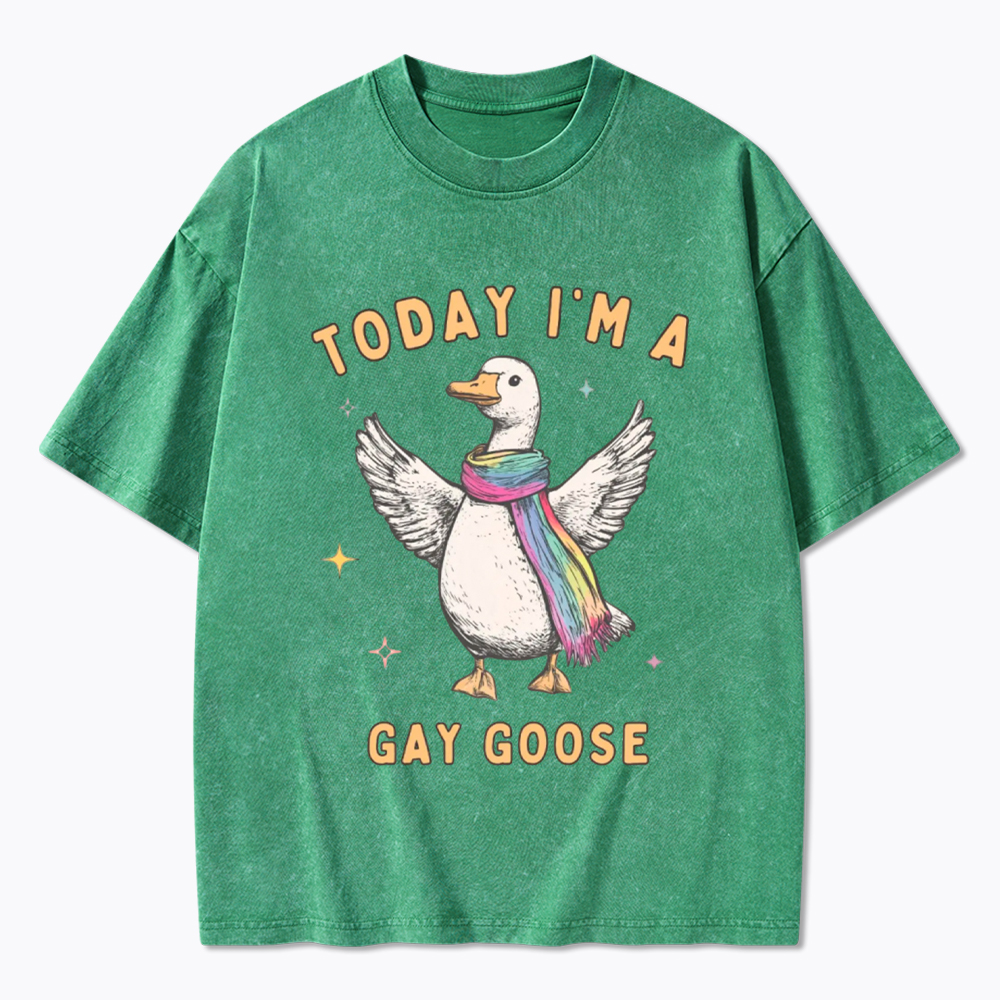 Gay Pride Silly Goose Washed T-Shirt