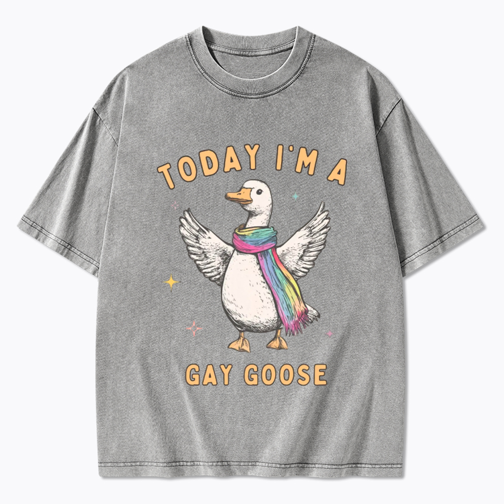 Gay Pride Silly Goose Washed T-Shirt