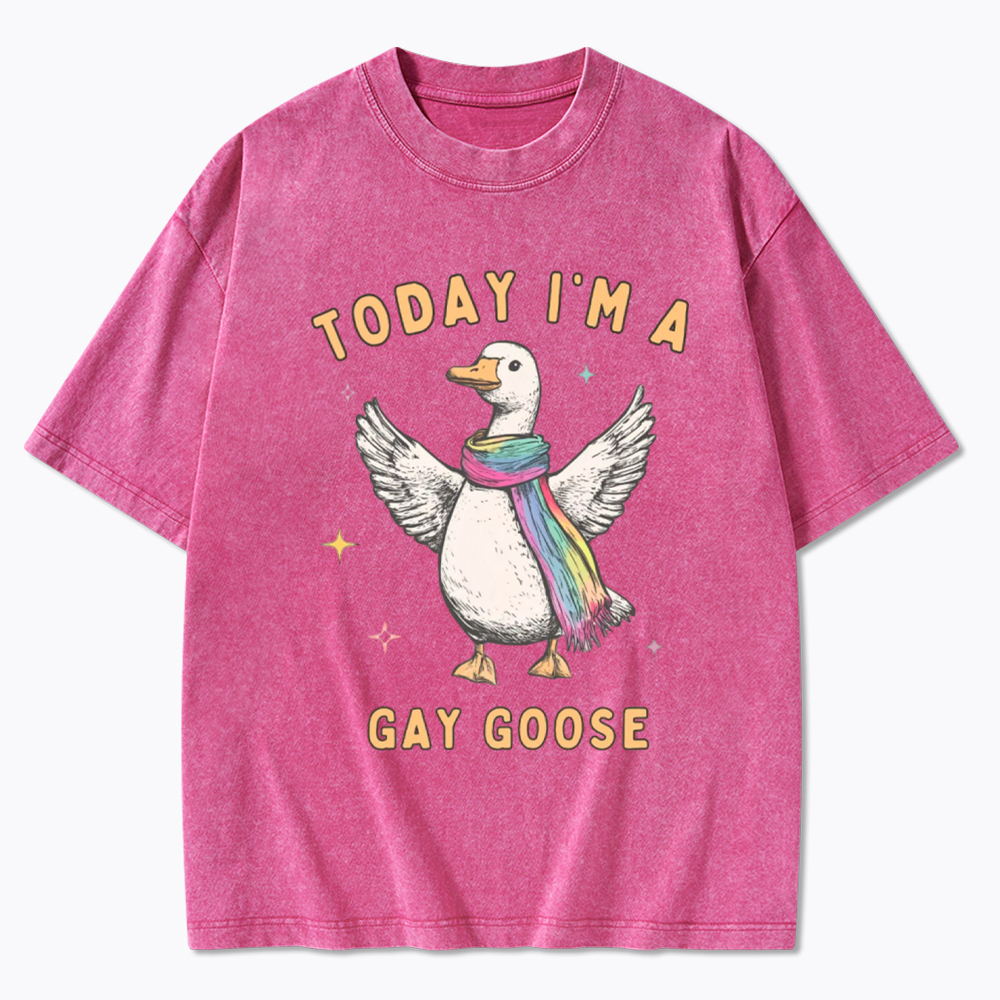 Gay Pride Silly Goose Washed T-Shirt