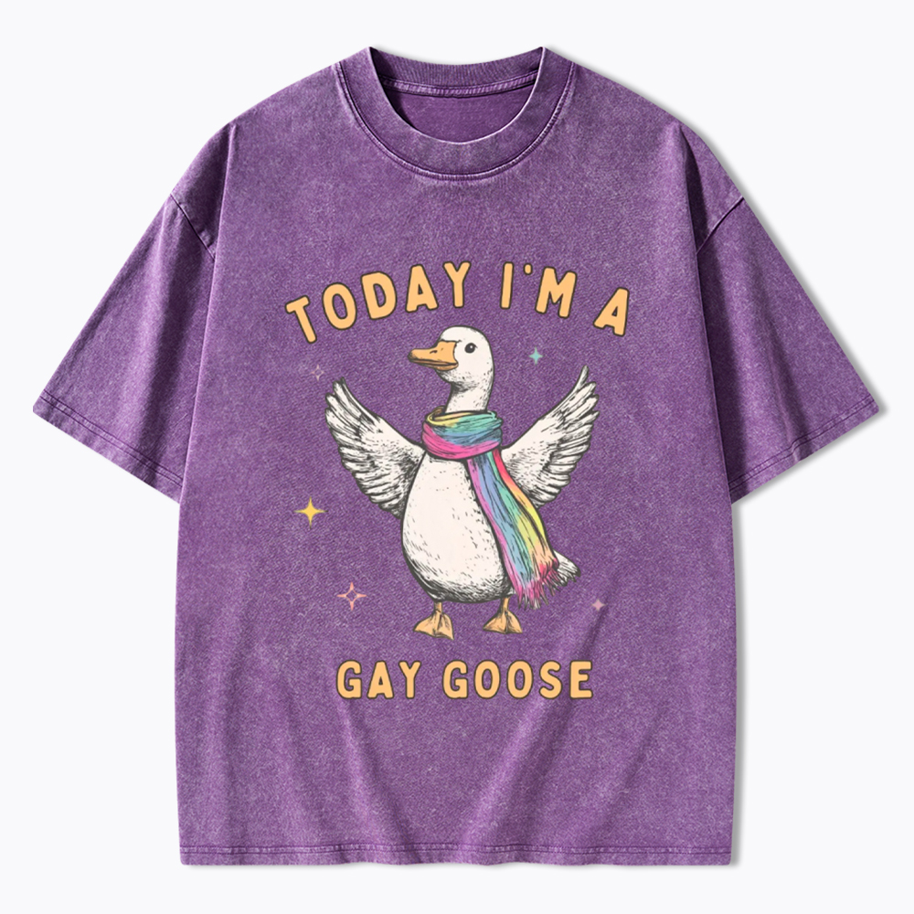 Gay Pride Silly Goose Washed T-Shirt