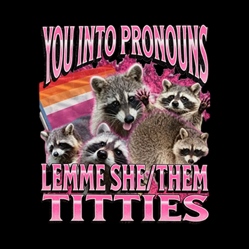 You Into Pronouns Funny Raccoon Meme Washed T-Shirt