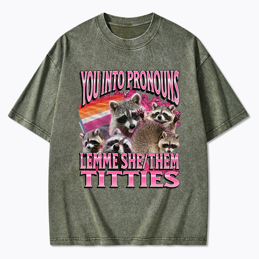 You Into Pronouns Funny Raccoon Meme Washed T-Shirt