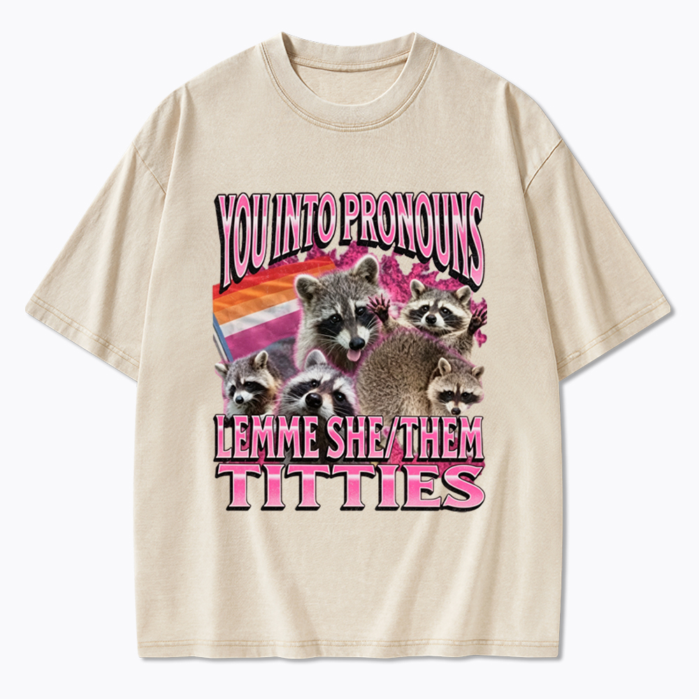 You Into Pronouns Funny Raccoon Meme Washed T-Shirt