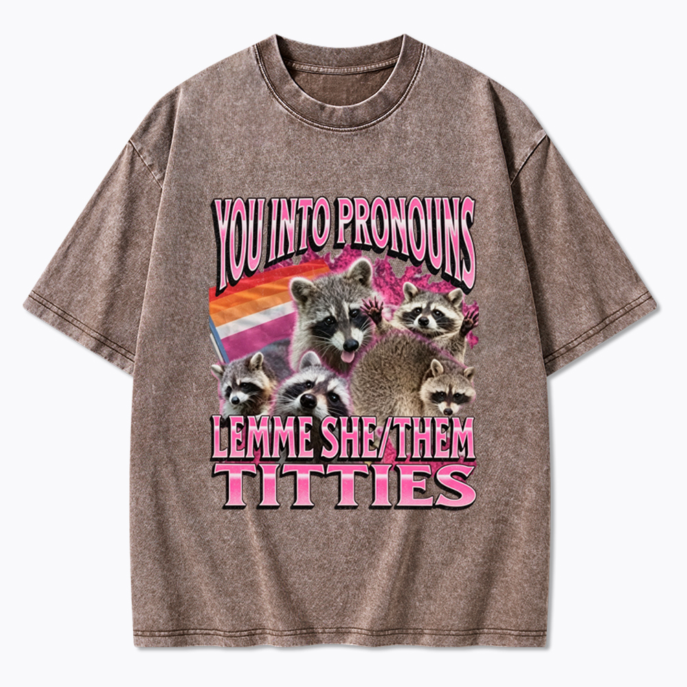You Into Pronouns Funny Raccoon Meme Washed T-Shirt