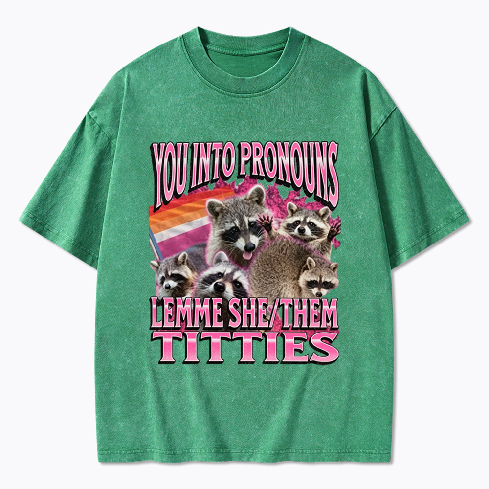 You Into Pronouns Funny Raccoon Meme Washed T-Shirt